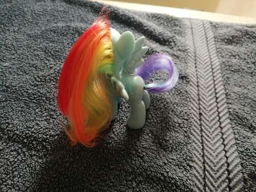 My Little Pony Rainbow Dash