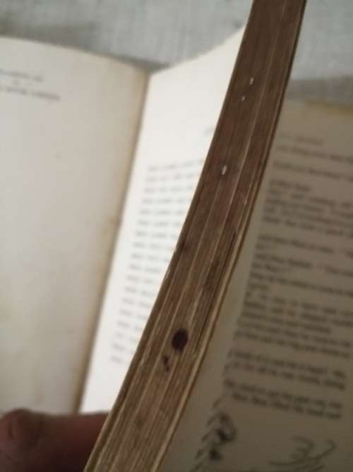 Third Brer Rabbit book by Enid Blyton 1952