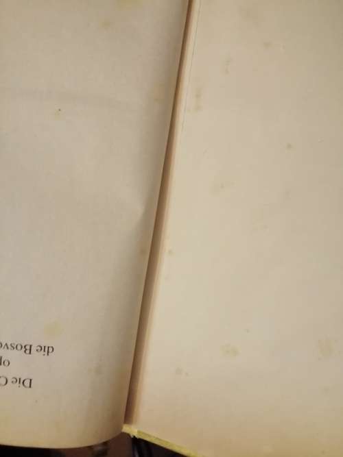 Die Otters op die Bosveldplaas deur Cor Dirks