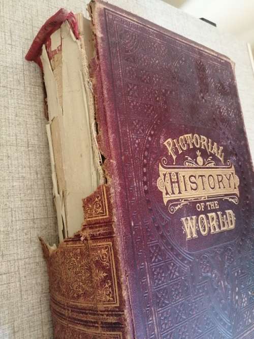 Pictorial History of the World 1877