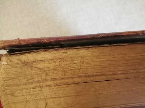 Pictorial History of the World 1877