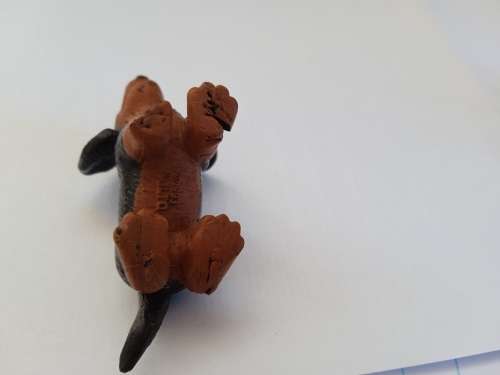 Puppy in my pocket #1 Bradley