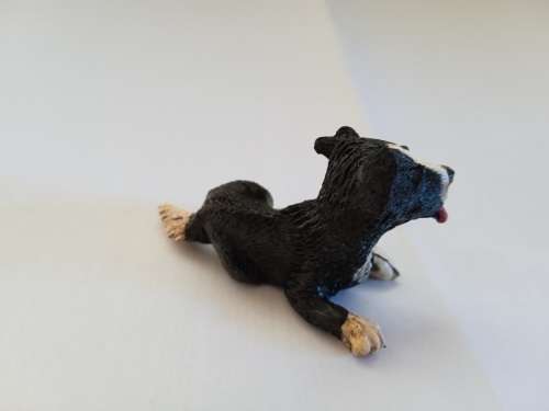 Puppy in my pocket, #6 Jemma