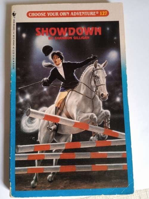 Choose your own adventure 127, Showdown