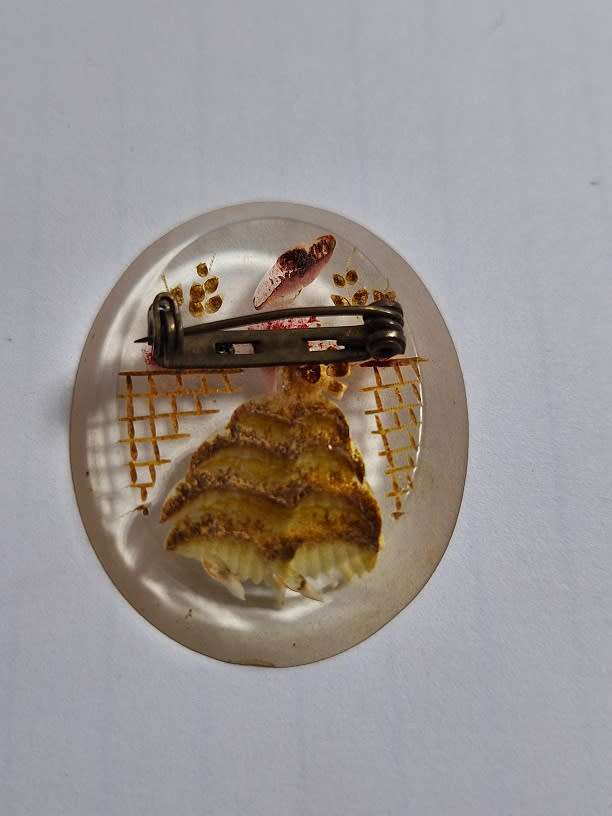 1930`s Celluloid brooch