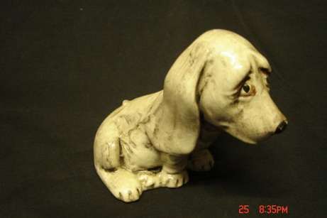 WHAT A SAD LOOKING FELLOW