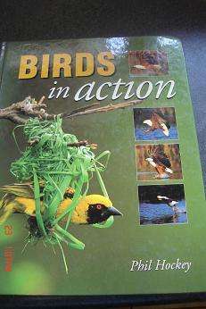 BIRDS IN ACTION BY PHIL HOCKEY