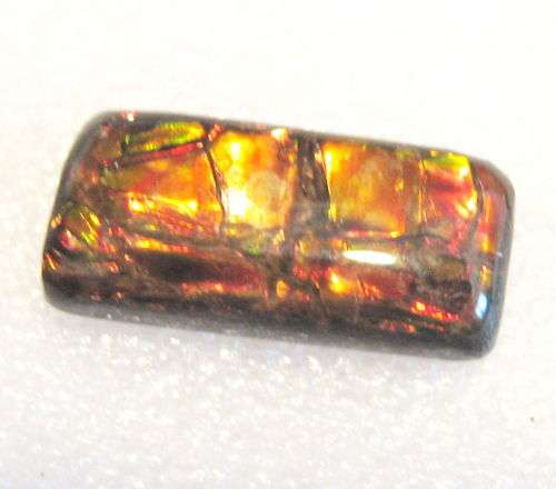 Ammolite~Rare 5.5ct Brilliant Red/yellow/green Natural Gem Ammolite/Ammonite Gemstone