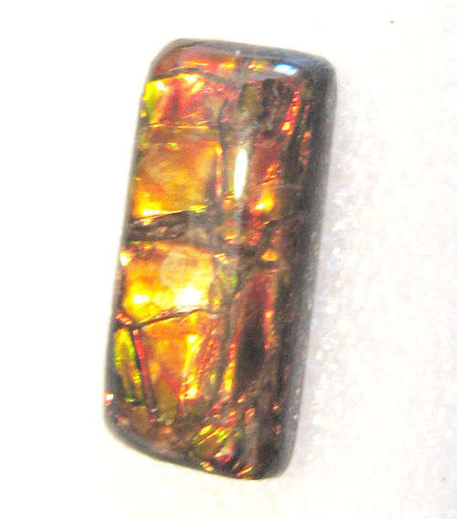 Ammolite~Rare 5.5ct Brilliant Red/yellow/green Natural Gem Ammolite/Ammonite Gemstone