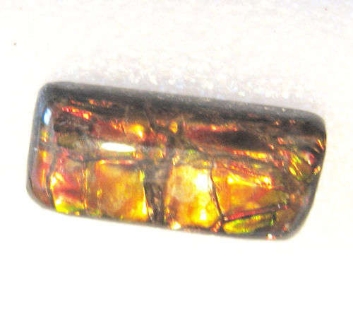 Ammolite~Rare 5.5ct Brilliant Red/yellow/green Natural Gem Ammolite/Ammonite Gemstone