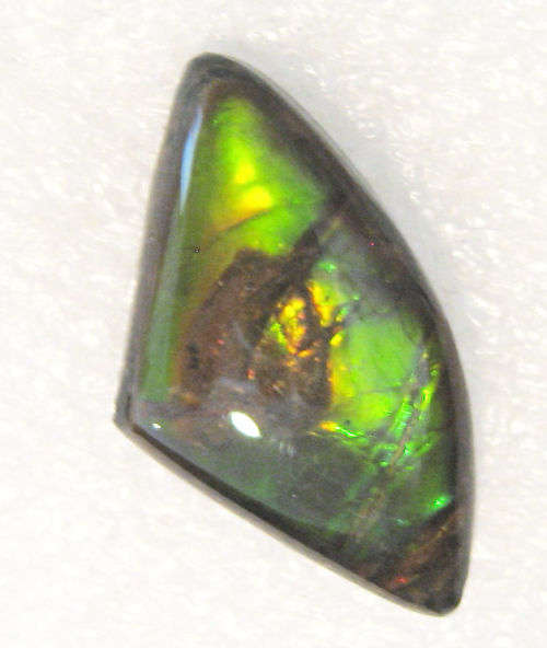 Ammolite~Rare 3.99 ct Brilliant Green/yellow/red Natural Gem Ammolite/Ammonite Gemstone