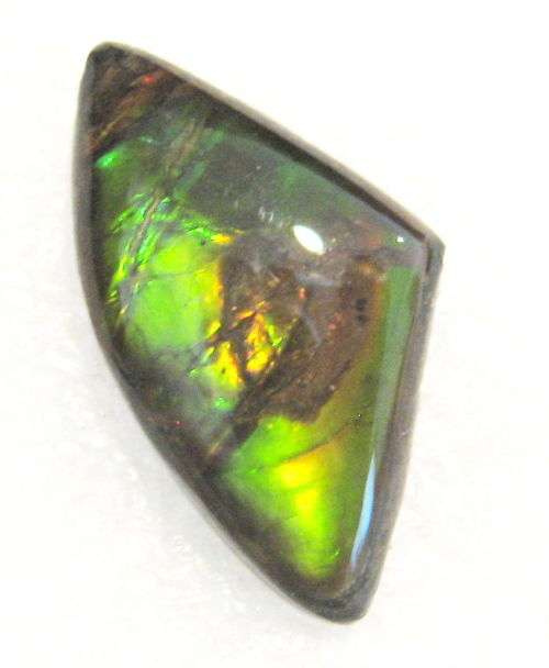 Ammolite~Rare 3.99 ct Brilliant Green/yellow/red Natural Gem Ammolite/Ammonite Gemstone