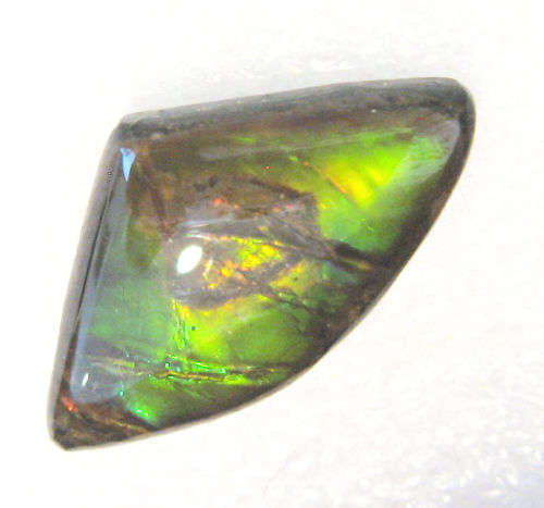 Ammolite~Rare 3.99 ct Brilliant Green/yellow/red Natural Gem Ammolite/Ammonite Gemstone