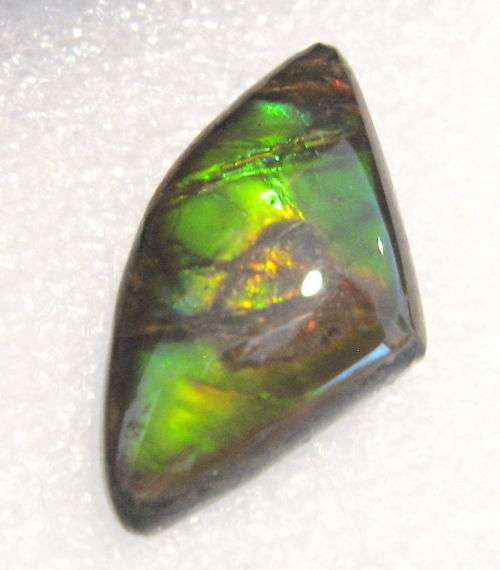 Ammolite~Rare 3.99 ct Brilliant Green/yellow/red Natural Gem Ammolite/Ammonite Gemstone