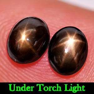 Sapphire~1.63 Ct. Matching Pair Oval Cab Natural Black Star Sapphire