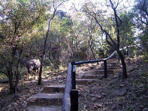 Mabalingwe Timeshare to rent: 30th June to 7th July 2017