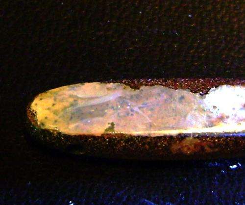 DRILLED READY TO MAKE PENDANT Boulder OPAL 16.68 Ct.