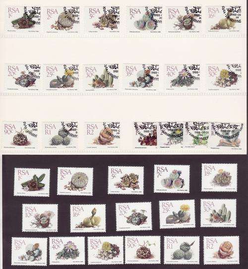 RSA Succulant Plants 5th Definitive Series Combo Pack