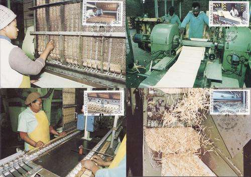 Transkei Match Industry Combo Pack. See description for more details