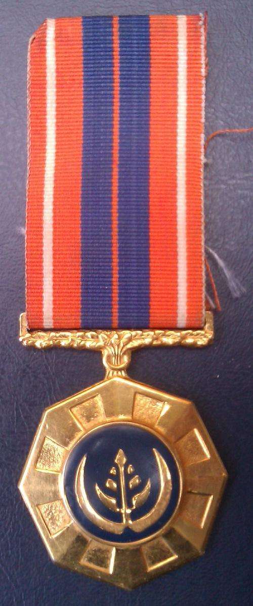 Full Size Numbered Pro Patria Medal 199079