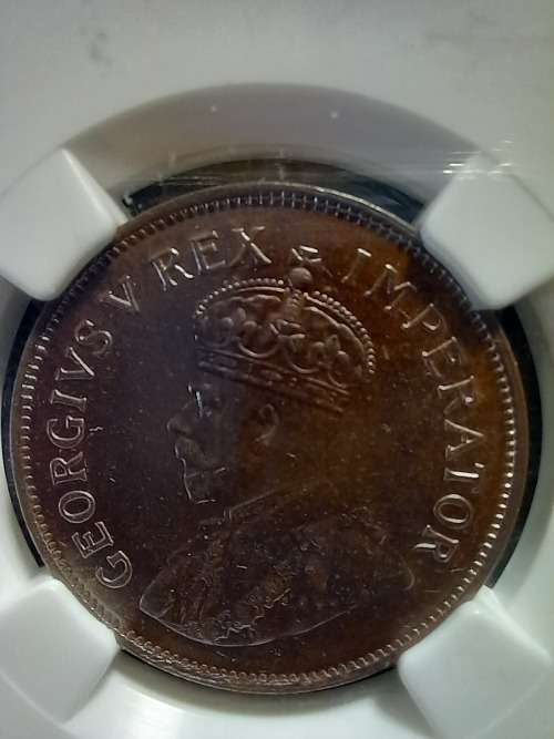 WOW WOW 1931Z Union Half Penny. Graded MS63 BN. Extremely Difficult to Get. Book Value R1450