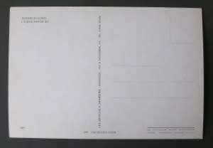 Italian POSTCARD - Pipe Organ at Duomo Di Como