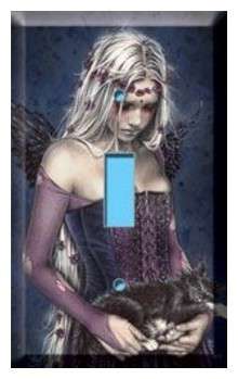 VICTORIA FRANCES SINGLE LIGHT SWITCH COVER PLATE IMPORTED FROM THE USA!