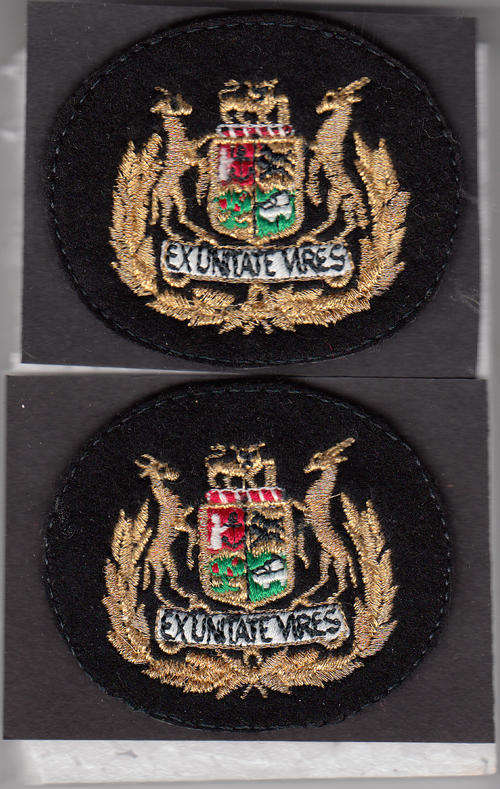 SET OF RANK BADGES WO 1