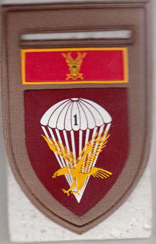1 PARA BATTALION SHOULDER FLASH 1 PIN