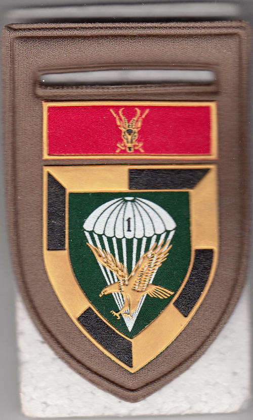 1 PARA BATTALION SHOULDER FLASH 1 PIN