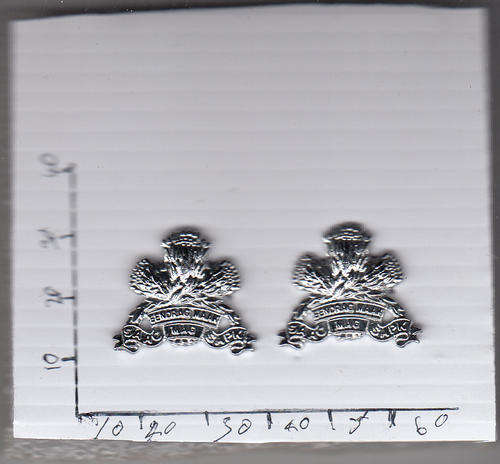 2 x COLLAR MESS DRESS SA ARMOURED  CORPS all pins