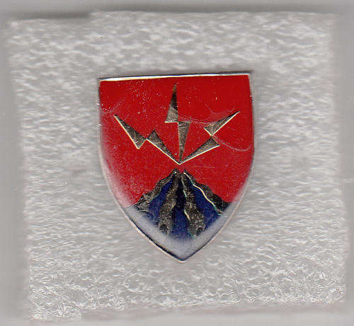 51 BATTALION AFFILIATION BADGE all pins