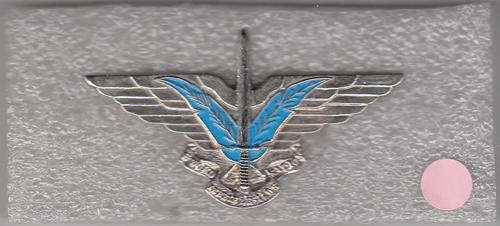 CISKEI SWORD OF THE NATION BERT BADGE