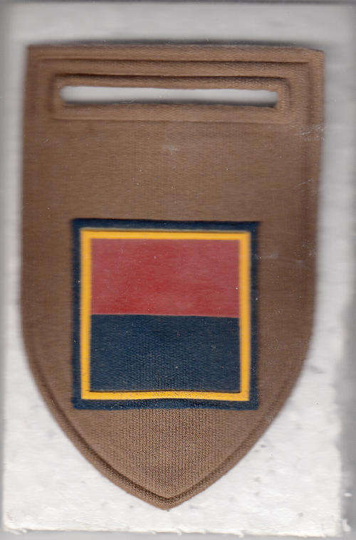 COMPANY/SQUADRON ARM FLASH [B]  COY 1 PIN