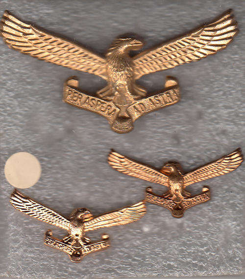 S.A. AIR FORCE CAP AND COLLAR  BADGE ALL PINS