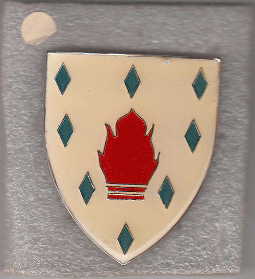 1 SPECIAL TRAINING UNIT SHOULDER FLASH  3 PINS original