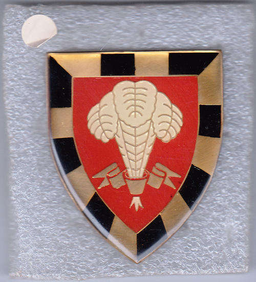 1 SA INFANTRY SHOULDER FLASH 3 PINS