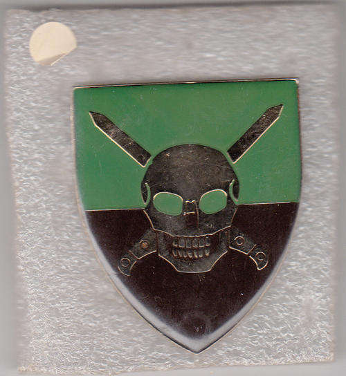 S.A. CAPE CORPS INFANTRY BATTALION  SHOULDER FLASH 3 PINS