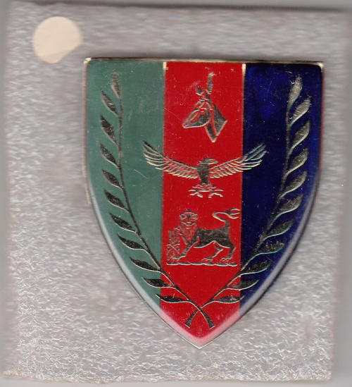 S.A.CHIEF OF JOINT COMBAT FORCES SHOULDER FLASH NO PINS