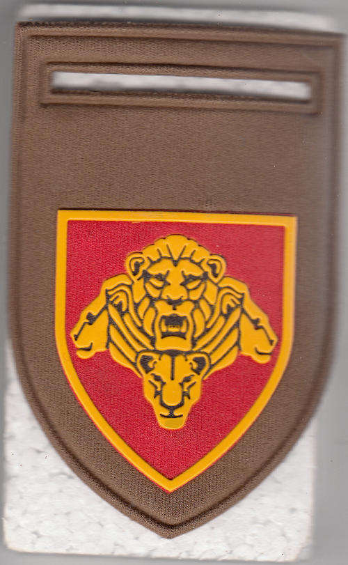 S.A. LEER SHOULDER FLASH