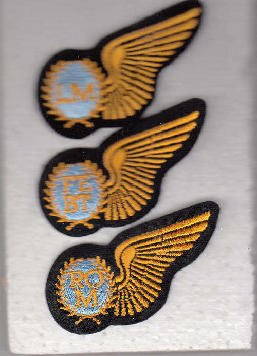 AIR CREW HALF WING all pins
