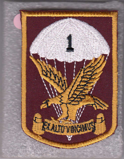 1 PARACHUTE Battalion . tracksuit badge