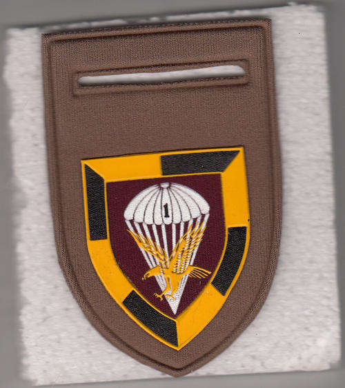 1 PARA BATTALION SHOULDER FLASH 1 PIN