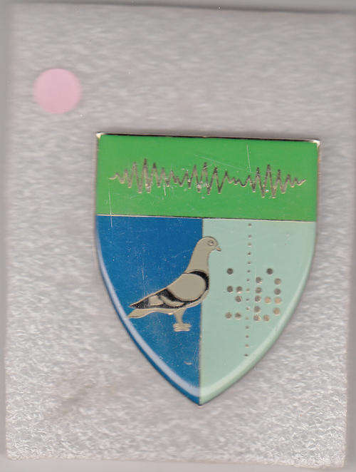 2 SIGNAL REGMENT SHOULDER FLASH   ALL PINS