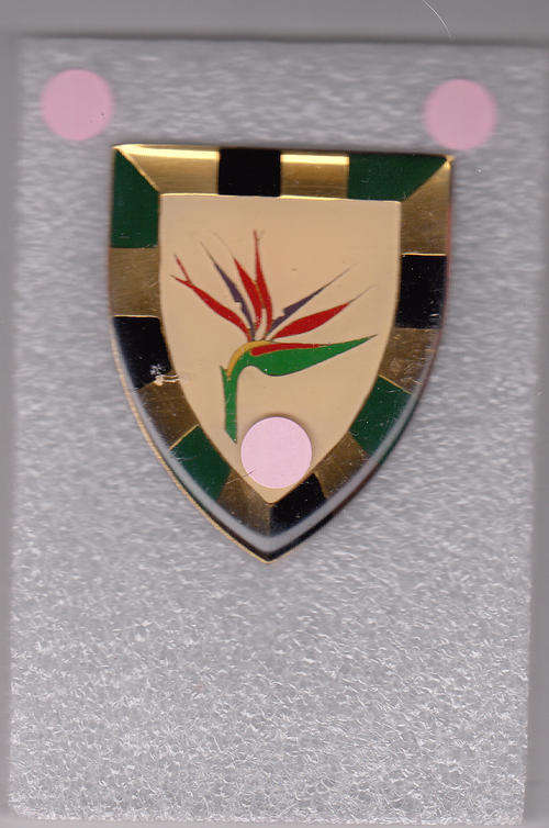 6 SA INFANTRY SHOULDER FLASH 3 pins original