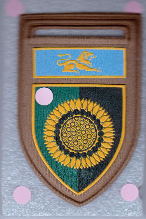 Regiment Botha Rubberised Shoulder Flash 1 Pin