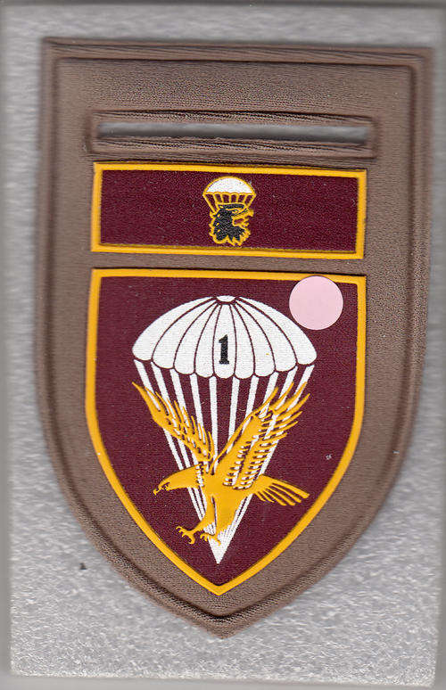 1 PARA BATTALION SHOULDER FLASH 1 PIN