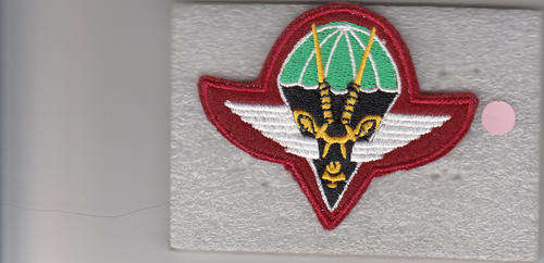 S.W.A. PARACHUTE BATTALION CAP . BADGE