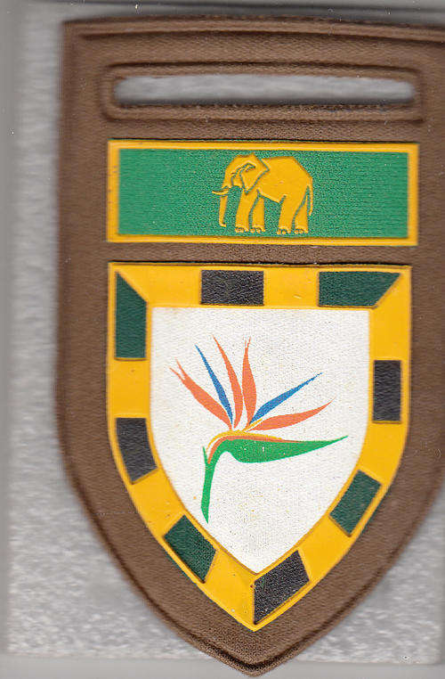 6 SA INFANTRY SHOULDER FLASH 1  PINS