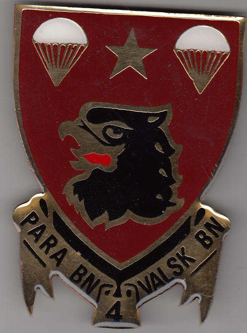 4 PARACHUTE BATTALION SHIELD